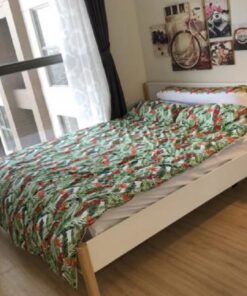 Căn hộ - Mường Thanh